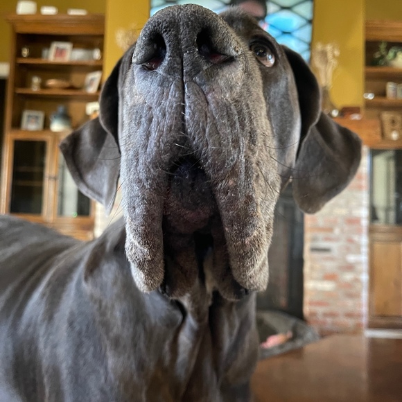 Meet your Posher, James - Picture 1 of 1